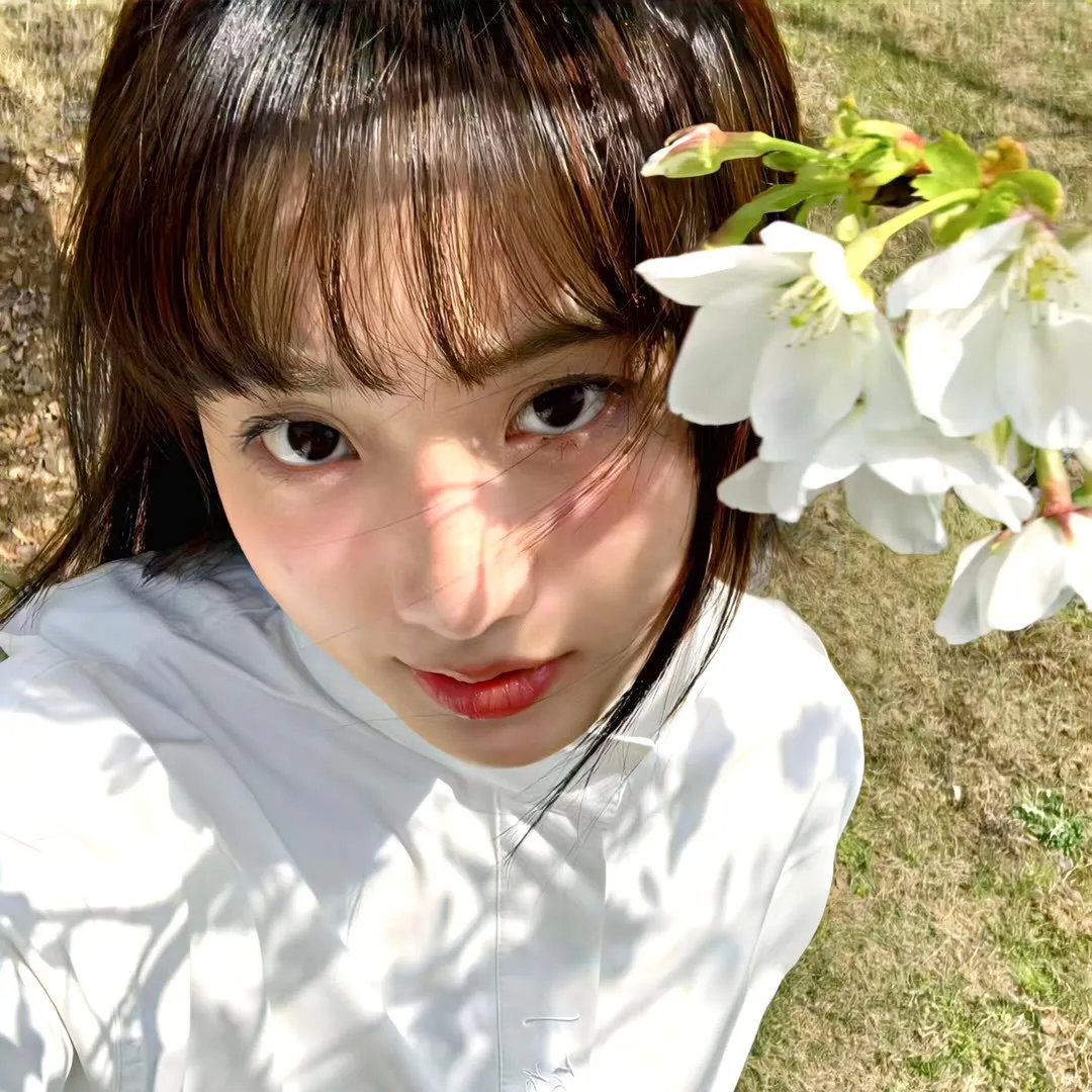 冼太郎降龙伏虎