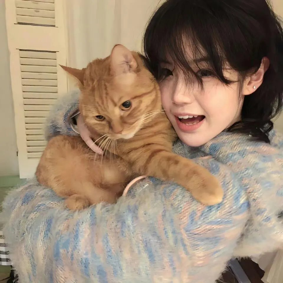 Umjolo：都怪恋爱脑